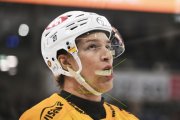 AMBRI - TIGERS