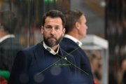 TIGERS - FRIBOURG