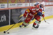 TIGERS - KLOTEN