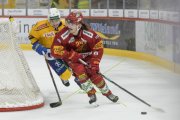 TIGERS - DAVOS