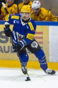FRIBOURG - TIGERS