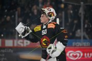 BERN - TIGERS