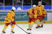 ZSC - TIGERS
