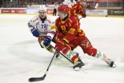 TIGERS - KLOTEN