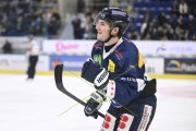 AMBRI - TIGERS