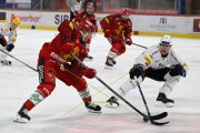 TIGERS - FRIBOURG