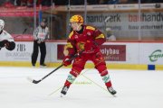 TIGERS - LAUSANNE