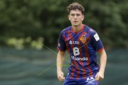 BASEL - WIL