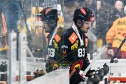 BERN - TIGERS