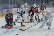 BASEL - HCC
