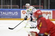 AMBRI - TIGERS
