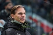 ZSC - TIGERS