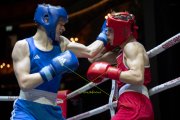 BOXEN STATT THEATER 2025