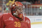 TIGERS - AMBRI