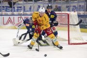AMBRI - TIGERS