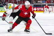 UNGARN - SCHWEIZ