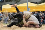 BASELSTAEDTISCHER SCHWINGERTAG