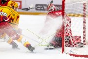 LAUSANNE - TIGERS