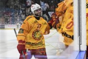 AMBRI - TIGERS