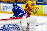FRIBOURG - TIGERS