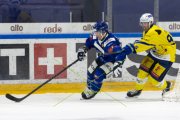 HCC - AROSA