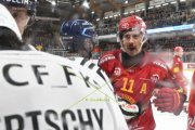 TIGERS - FRIBOURG