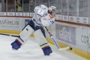 TIGERS - ZSC
