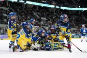 FIALA ALLSTARS - ZSC