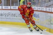 TIGERS - LAUSANNE