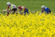 TOUR DE ROMANDIE 2025