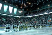 FIALA ALLSTARS - ZSC