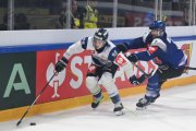 FRIBOURG - NITRA