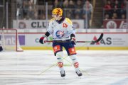 TIGERS - ZSC