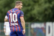 BASEL - WIL