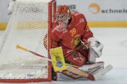 TIGERS - AMBRI