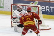 TIGERS - LAUSANNE