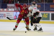 TIGERS - LAUSANNE