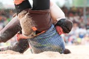 118. NORDWESTSCHWEIZER SCHWINGFEST
