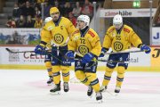 TIGERS - DAVOS