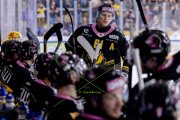 AJOIE - AMBRI
