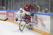AMBRI - TIGERS
