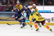 ZSC - BERN
