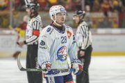 TIGERS - ZSC