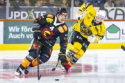 SCB - AJOIE