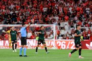 BENFICA - ST. GALLEN