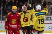 TIGERS - BERN