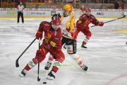 TIGERS - LUGANO
