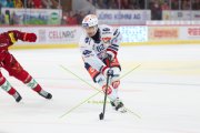 TIGERS - ZSC
