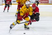 LAUSANNE - TIGERS