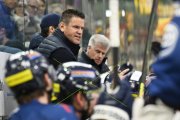AMBRI - TIGERS